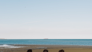 Image of Amble