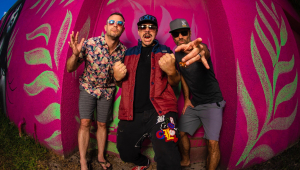 Image of Badfish - A Tribute To Sublime