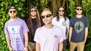 Image of THE MOVEMENT TOUR: WINTER 2027 with special guest Mike Love (solo)